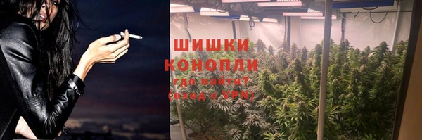 гидропоника Алзамай