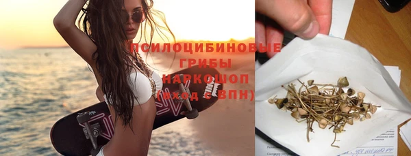гидропоника Алзамай
